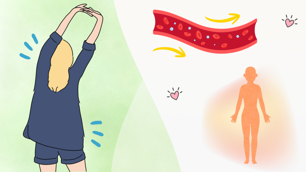 ストレッチと血流促進で体を温める効果を表すイラスト